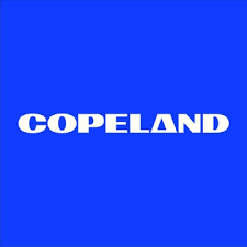 Associate Engineer
