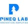 PineQ Lab Technology